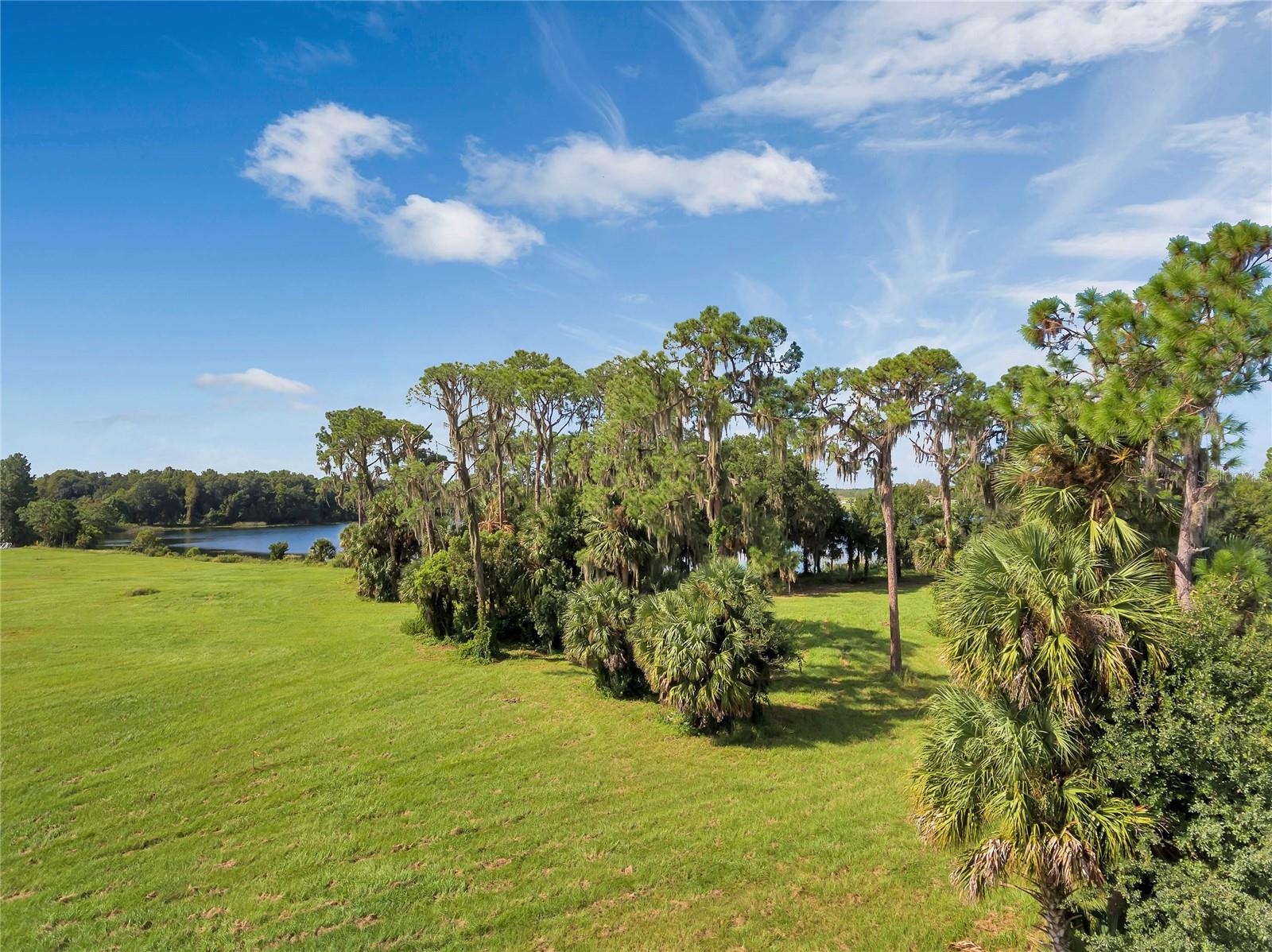 3430 LAKE DIANE RD, TAVARES, FL, 32778