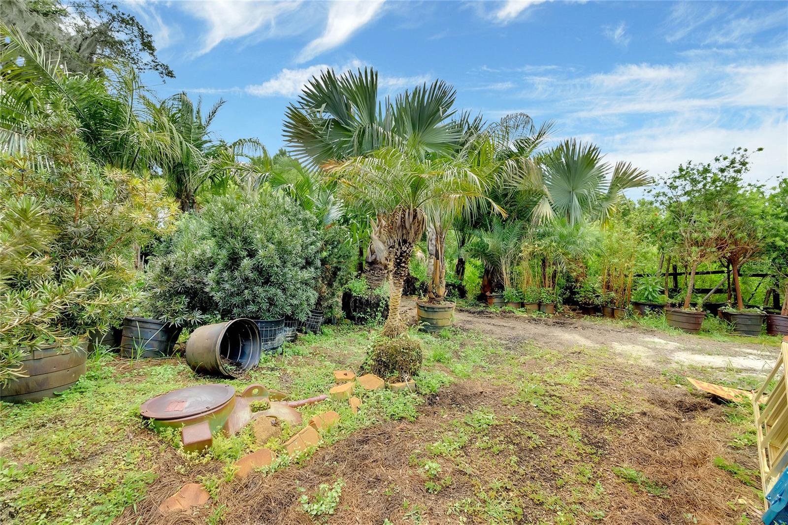 8440 COUNTY ROAD 48, YALAHA, FL, 34797