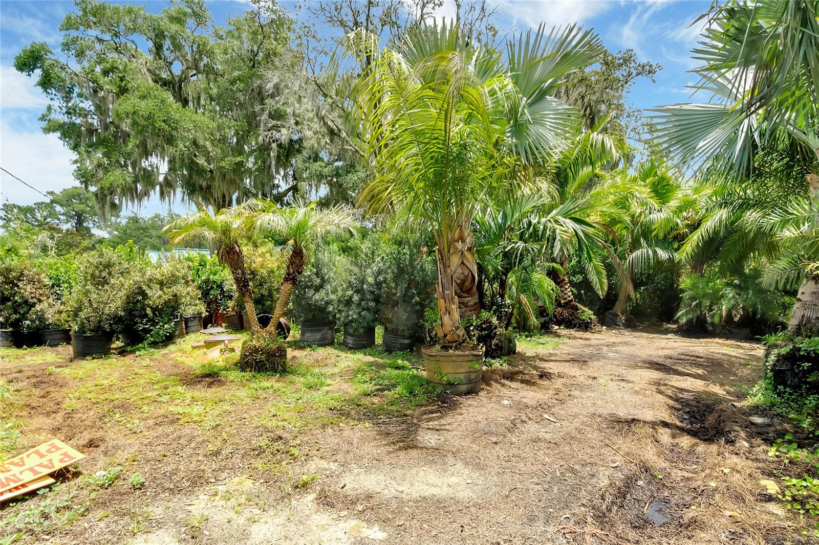 8440 COUNTY ROAD 48, YALAHA, FL, 34797