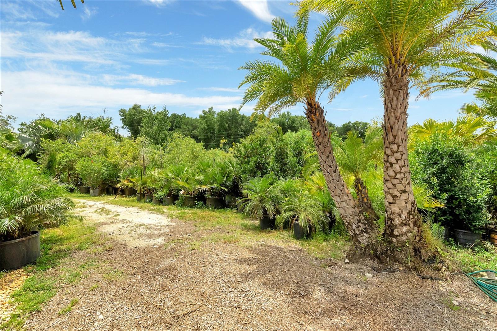 8440 COUNTY ROAD 48, YALAHA, FL, 34797