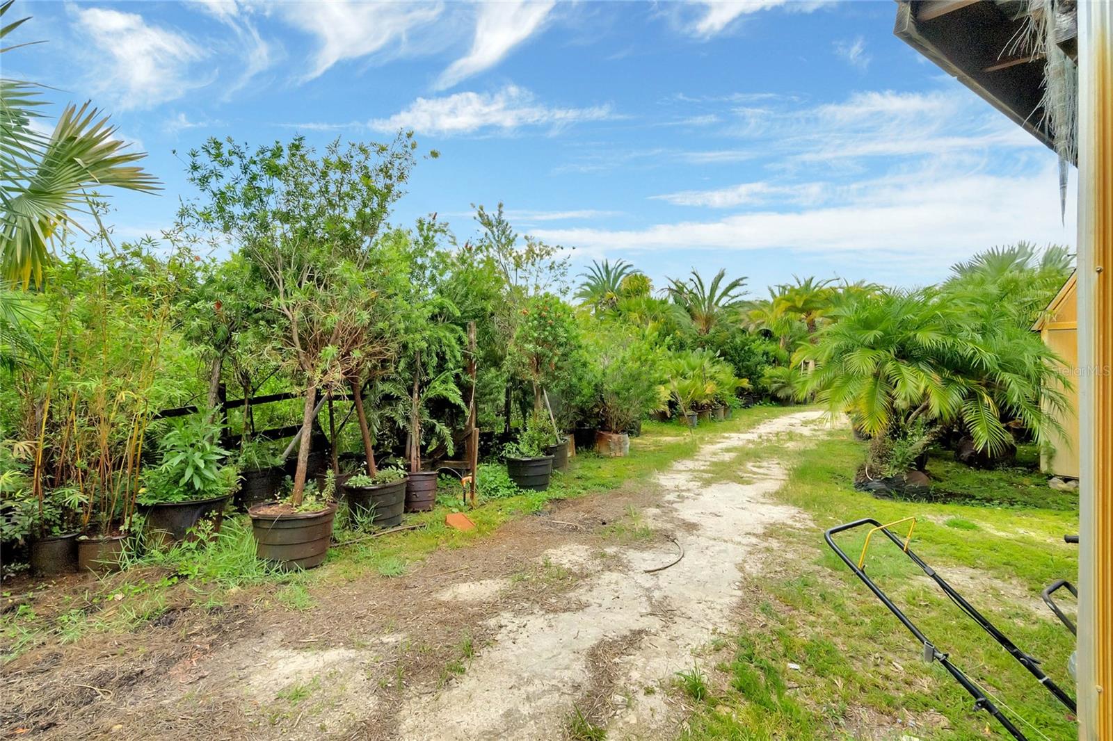 8440 COUNTY ROAD 48, YALAHA, FL, 34797