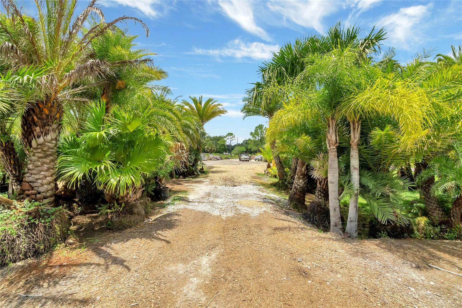 8440 COUNTY ROAD 48, YALAHA, FL, 34797