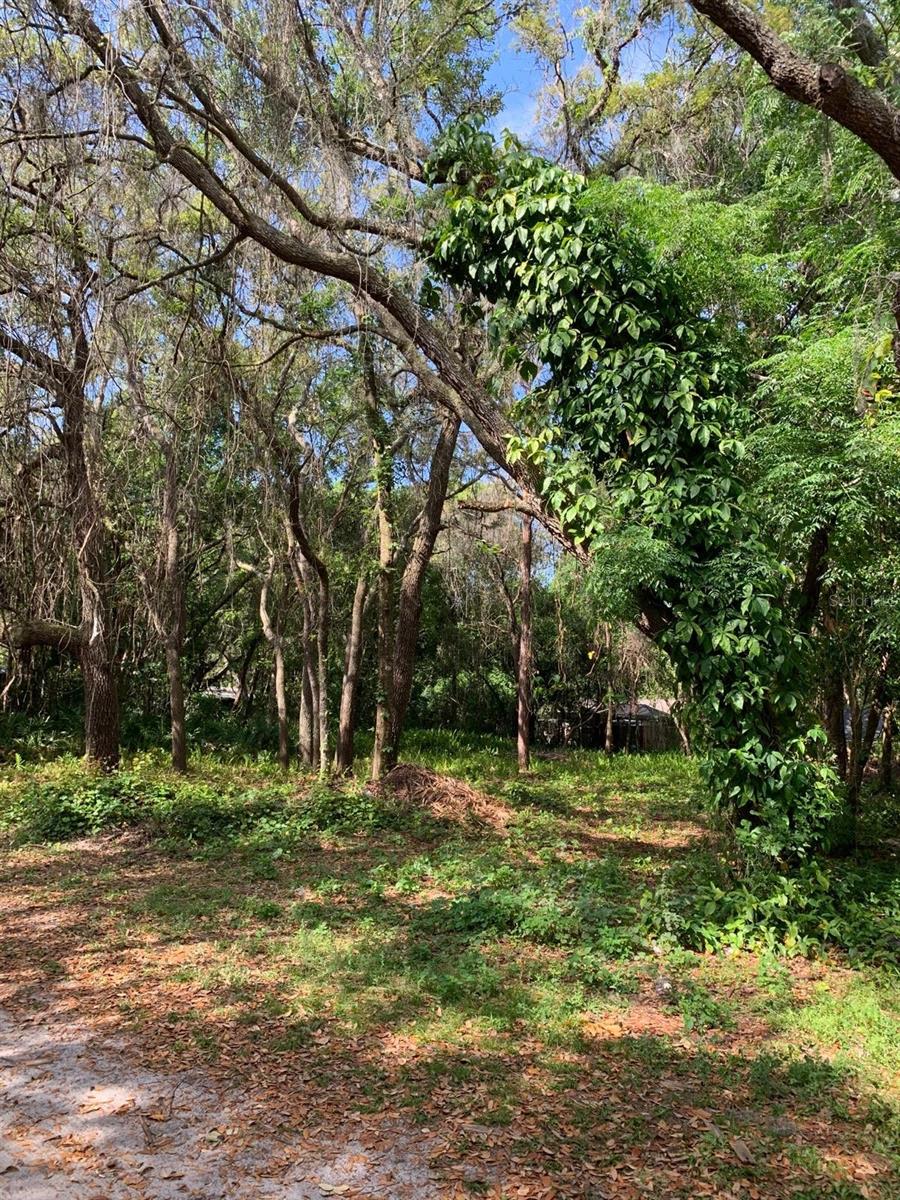0 STANLEY ST, NEW PORT RICHEY, FL, 34654