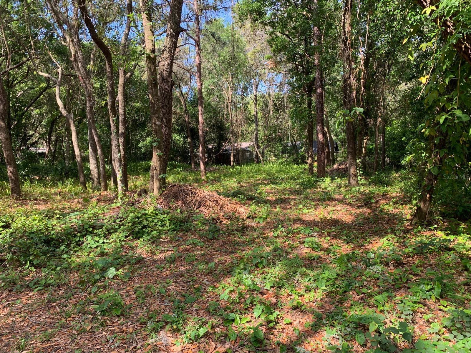 0 STANLEY ST, NEW PORT RICHEY, FL, 34654