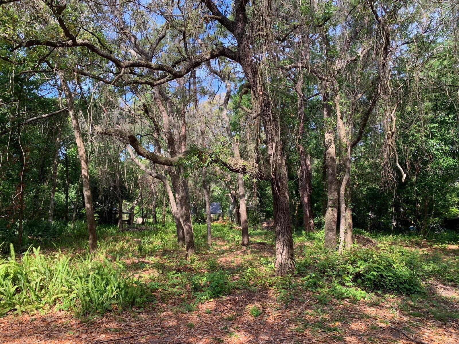 0 STANLEY ST, NEW PORT RICHEY, FL, 34654