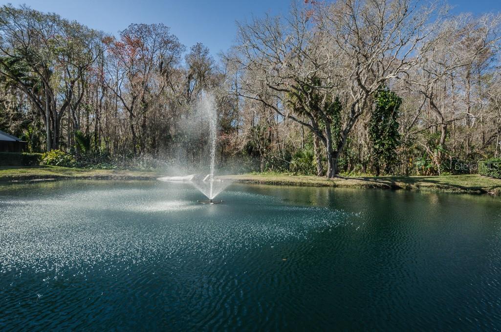 3843 GOLDFINCH CT, PALM HARBOR, FL, 34685