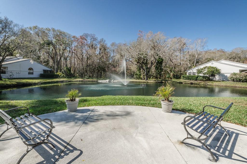 3843 GOLDFINCH CT, PALM HARBOR, FL, 34685