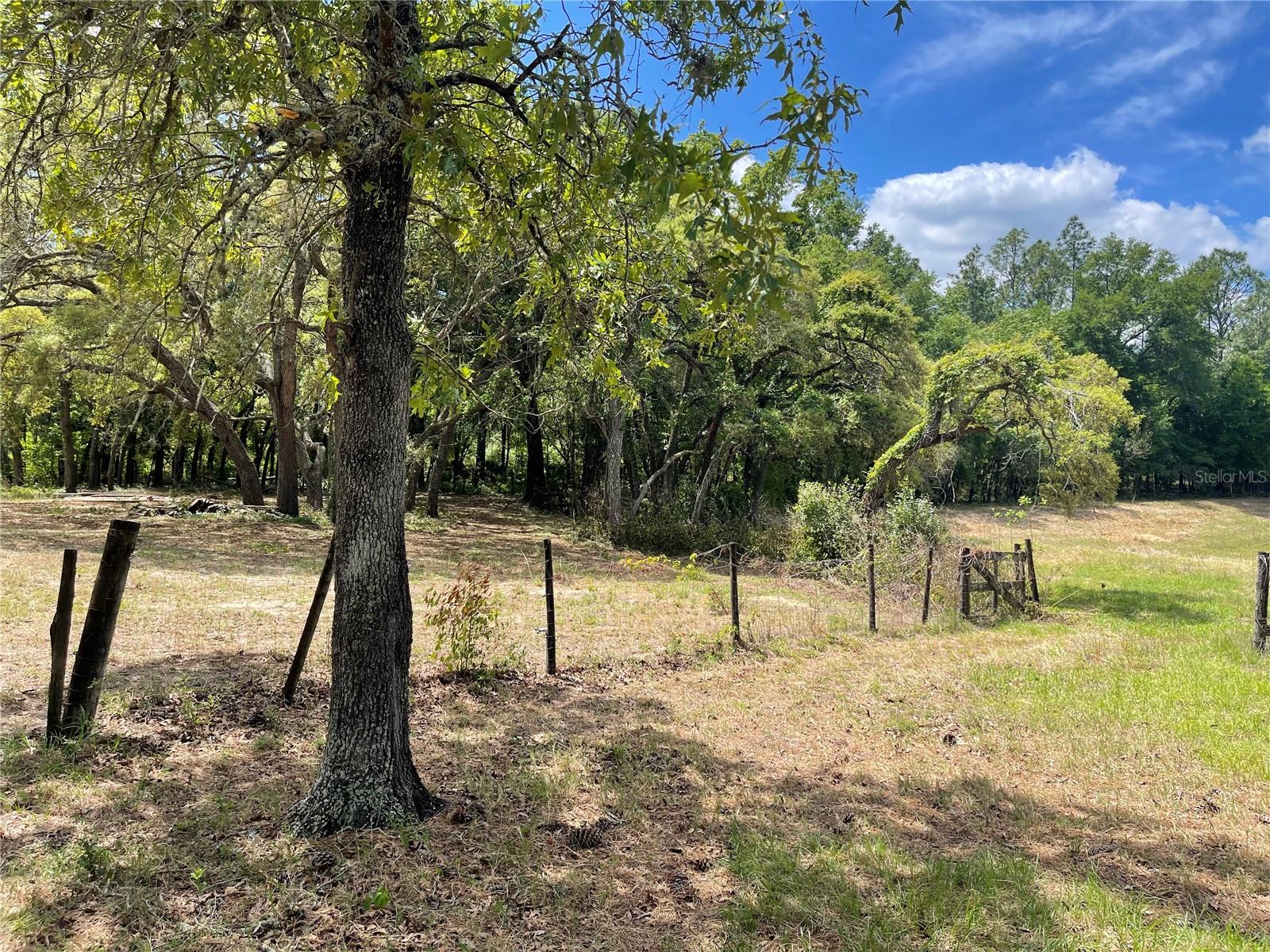 4770 SW 166TH COURT RD, OCALA, FL, 34481