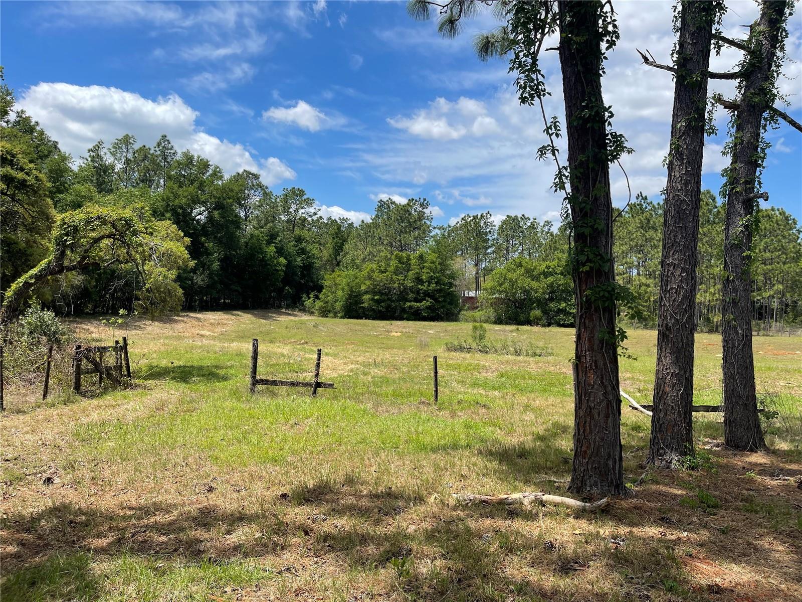 4770 SW 166TH COURT RD, OCALA, FL, 34481