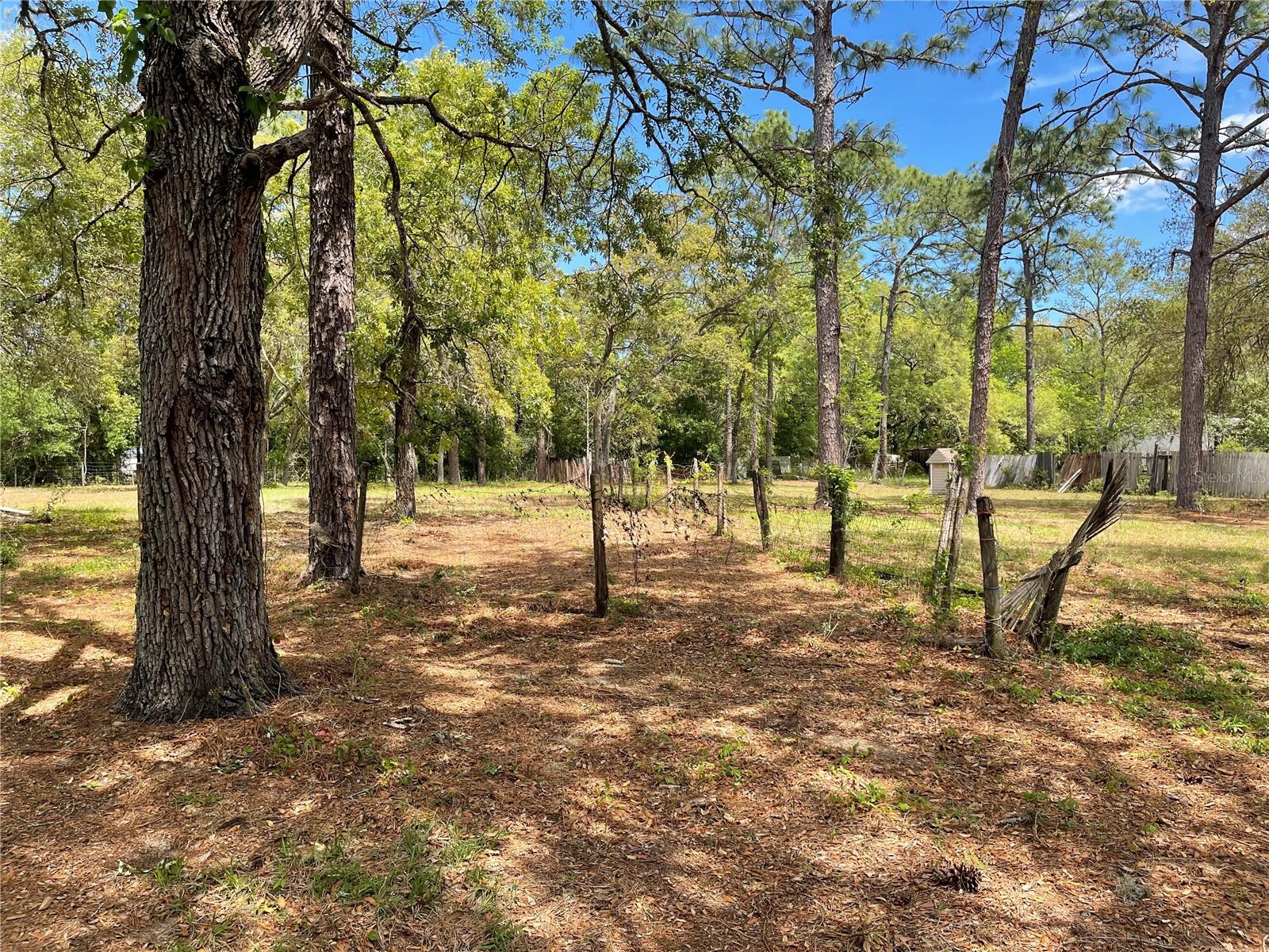 4770 SW 166TH COURT RD, OCALA, FL, 34481