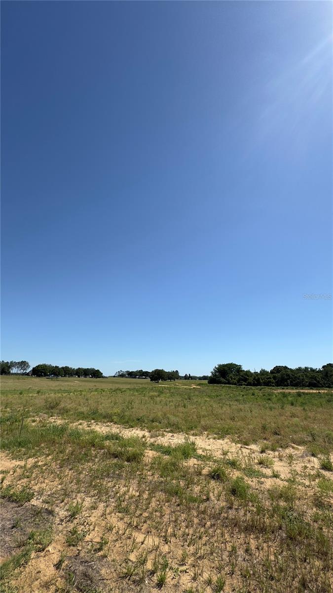 11625 SPOONBILL RUN DR, THONOTOSASSA, FL, 33592