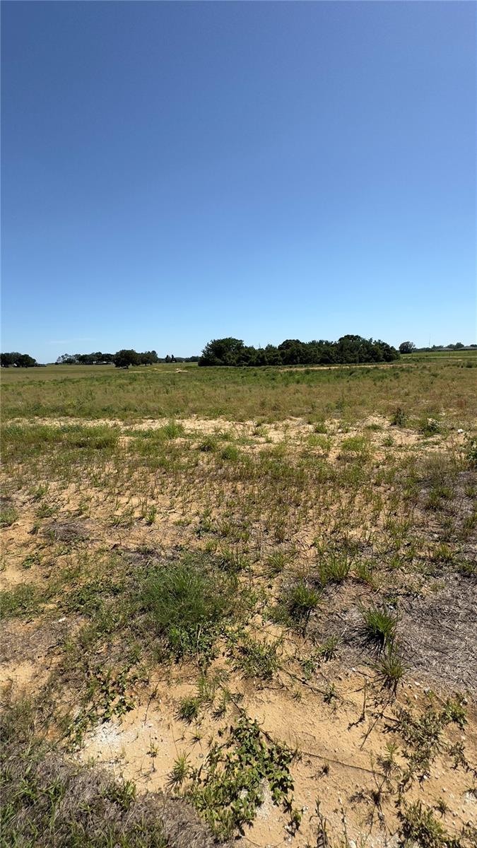 11625 SPOONBILL RUN DR, THONOTOSASSA, FL, 33592