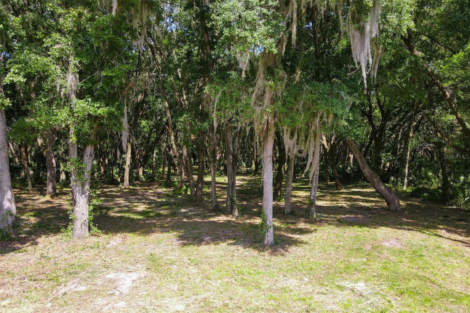 EMERALDA ISLAND RD, LEESBURG, FL, 34788