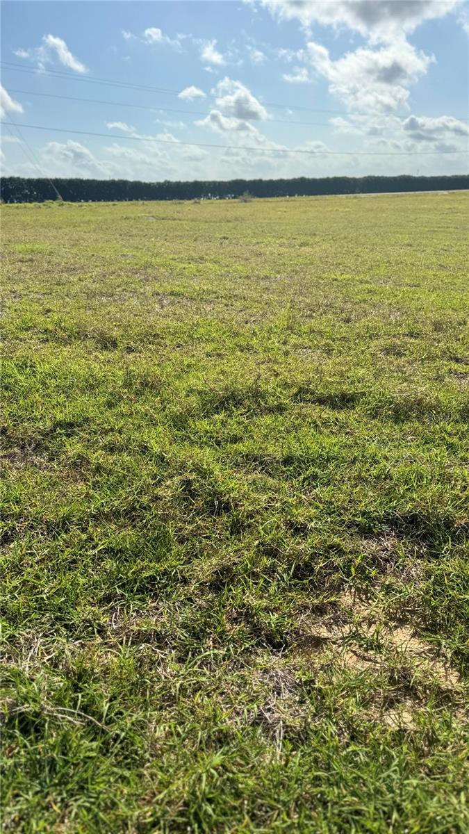 10022 WHITE EGRET DR, THONOTOSASSA, FL, 33592