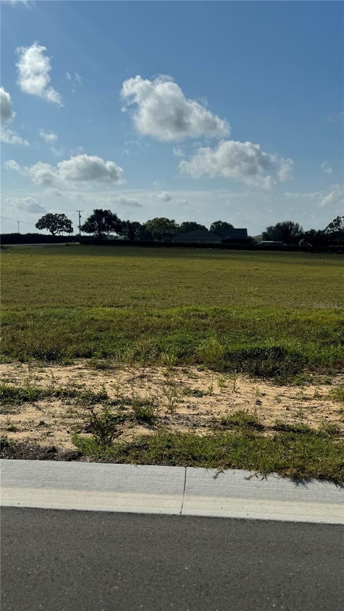 10022 WHITE EGRET DR, THONOTOSASSA, FL, 33592