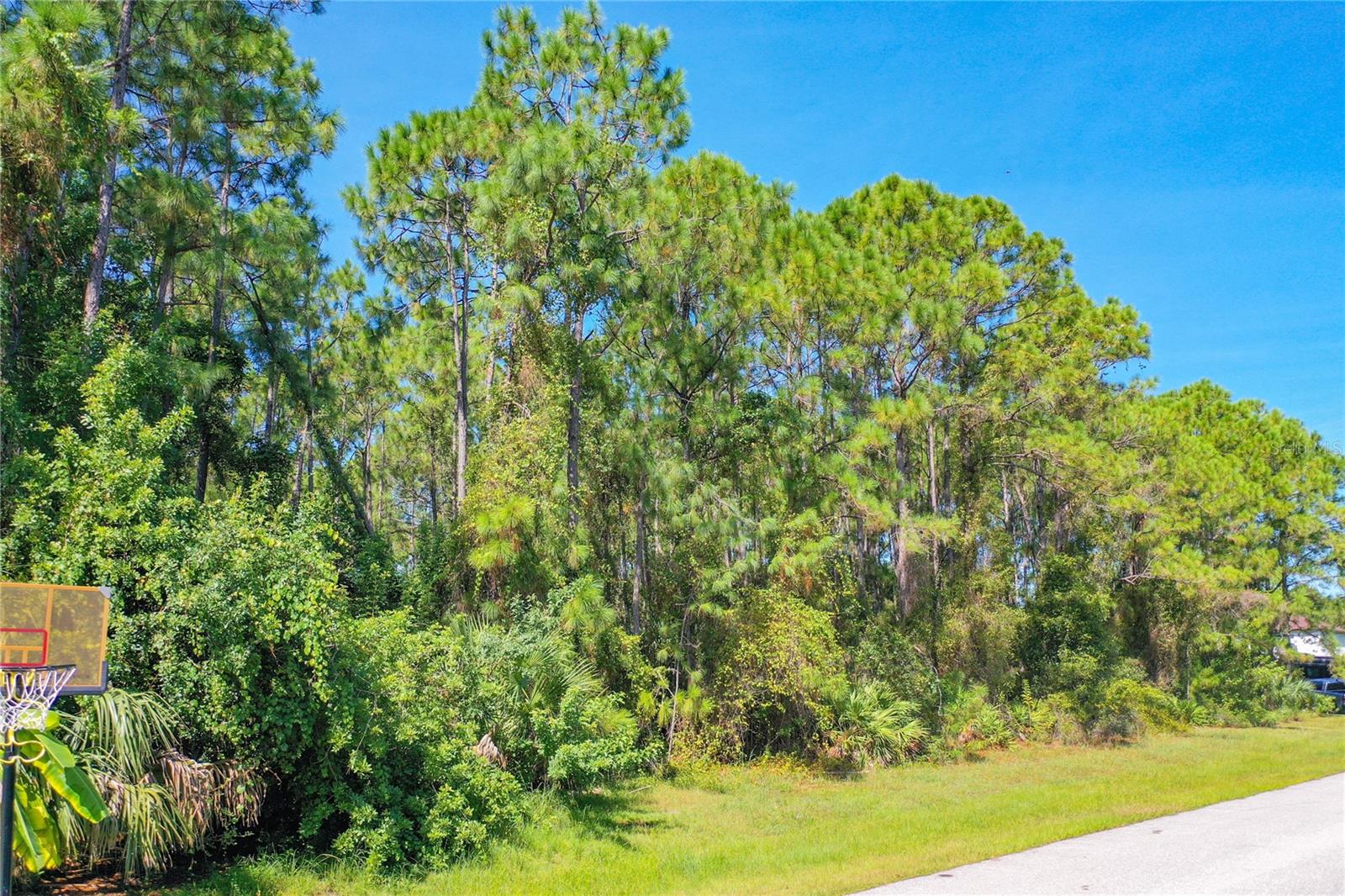 DOUGLAS RD, NORTH PORT, FL, 34288