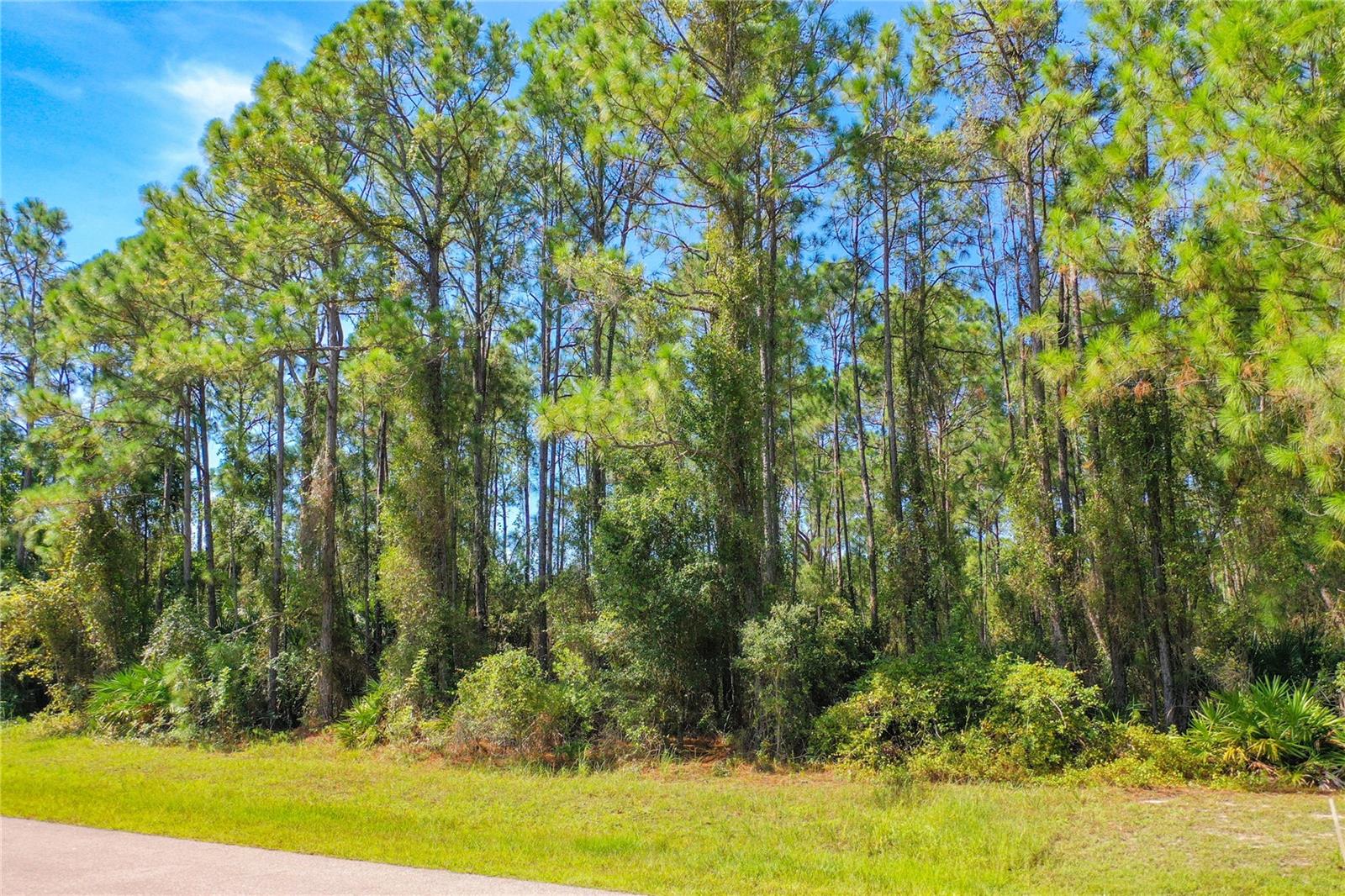 DOUGLAS RD, NORTH PORT, FL, 34288