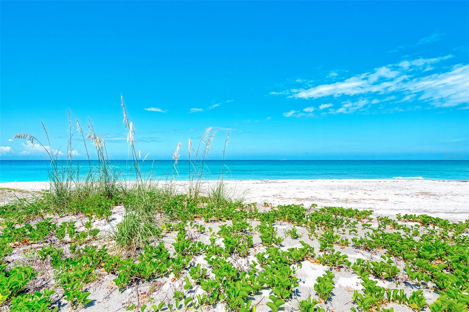 8630 MIDNIGHT PASS RD #301A, SARASOTA, FL, 34242