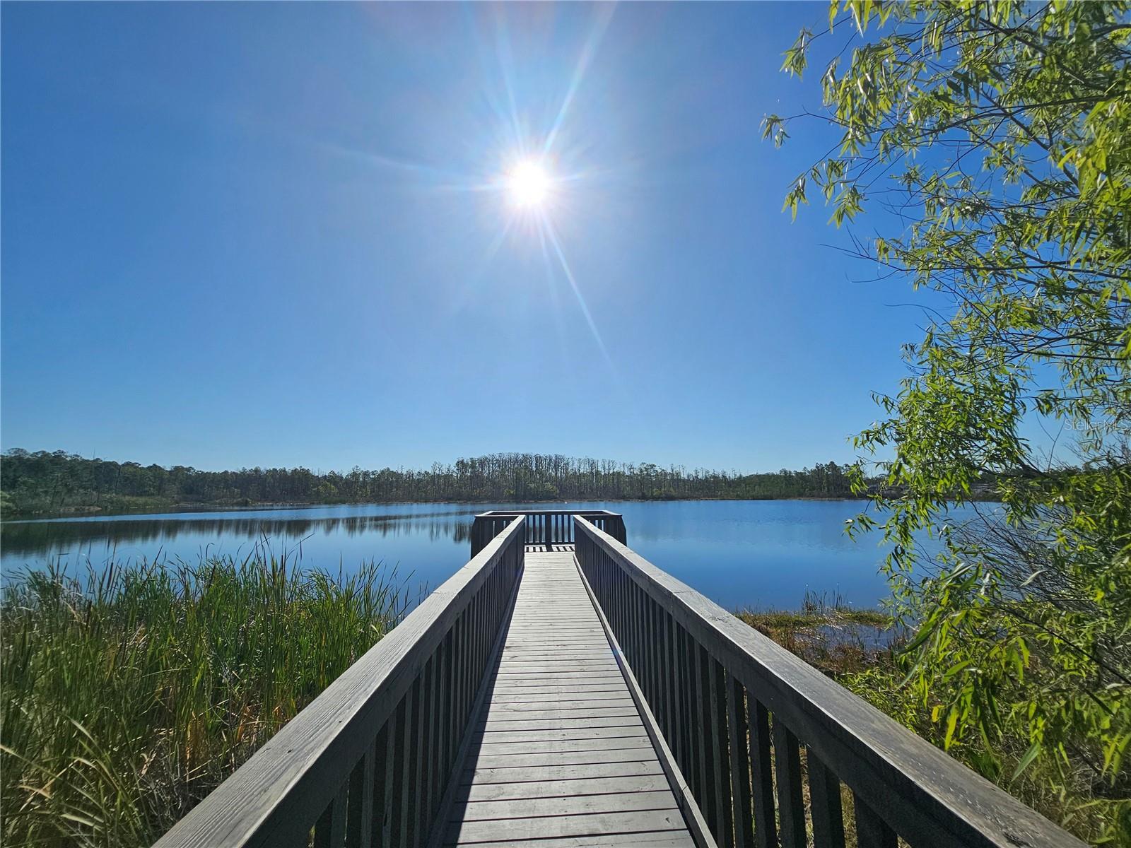 4 MULBERRY RD, PALM COAST, FL, 32164