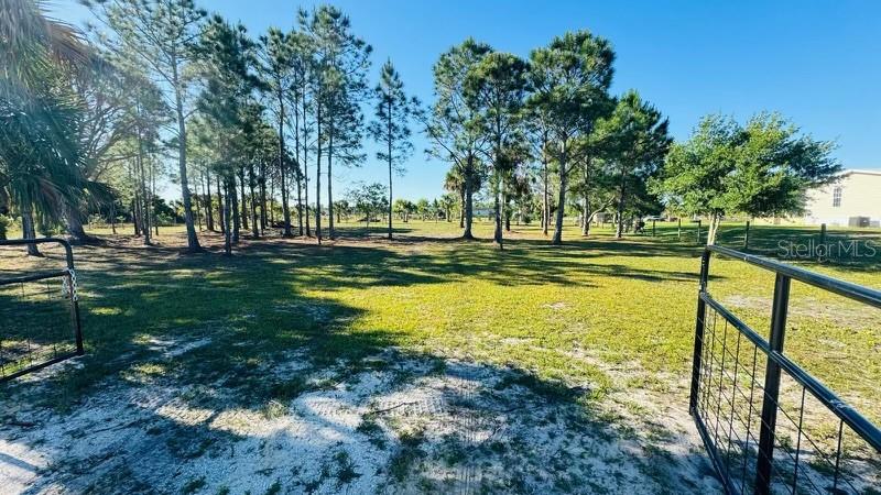 19788 NW 284TH ST, OKEECHOBEE, FL, 34972