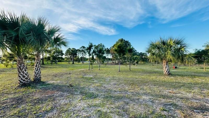 19788 NW 284TH ST, OKEECHOBEE, FL, 34972