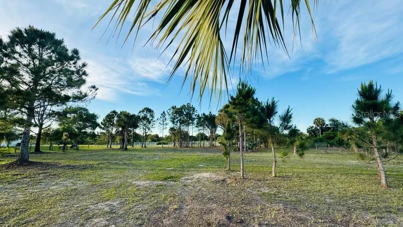 19788 NW 284TH ST, OKEECHOBEE, FL, 34972