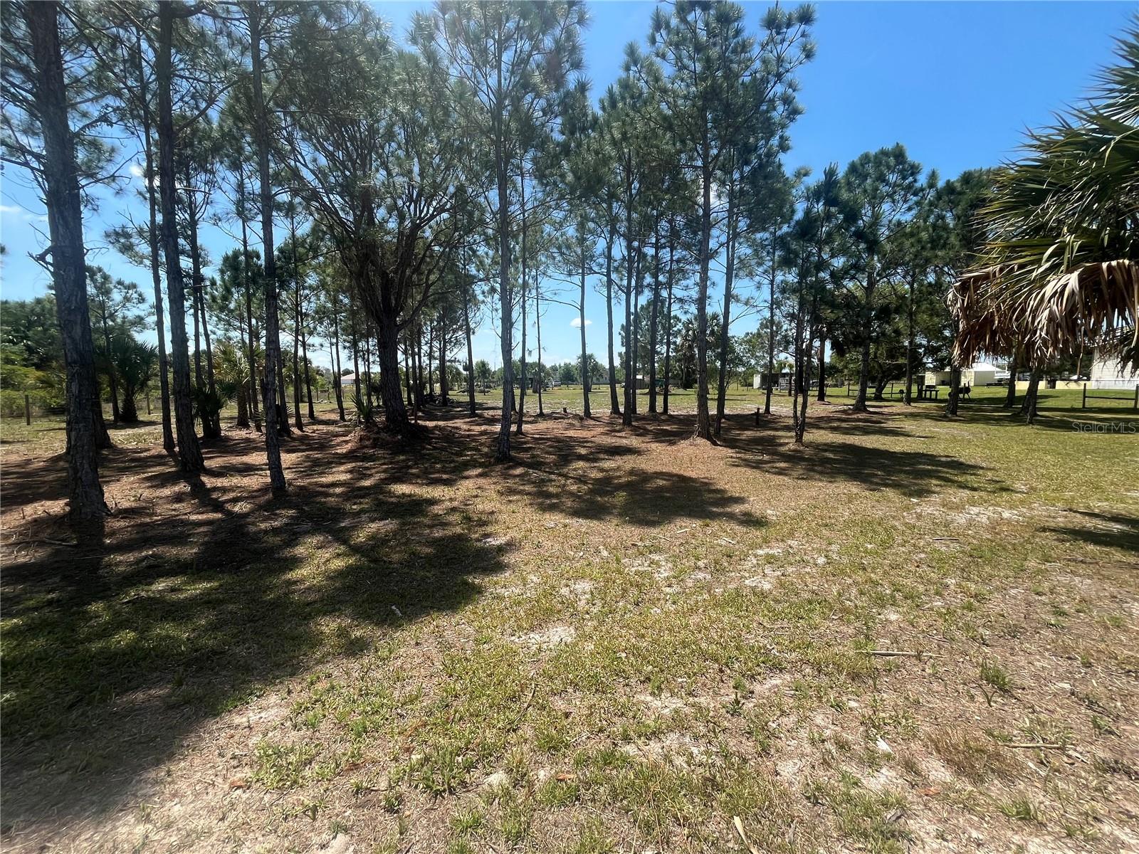 19788 NW 284TH ST, OKEECHOBEE, FL, 34972