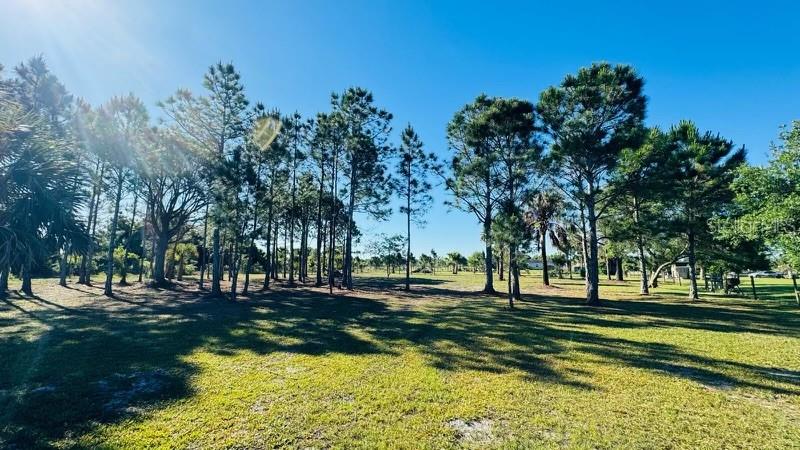 19788 NW 284TH ST, OKEECHOBEE, FL, 34972