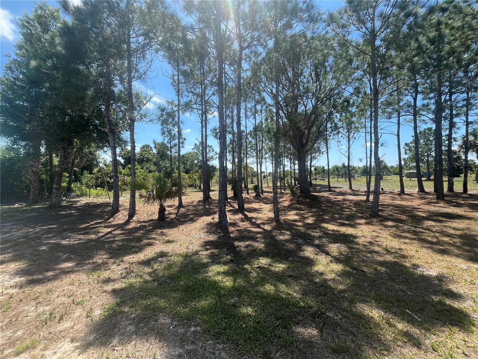 19788 NW 284TH ST, OKEECHOBEE, FL, 34972