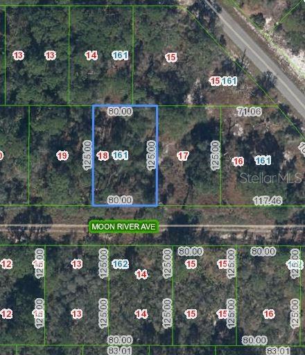 344 MOON RIVER AVE, LAKE PLACID, FL, 33852