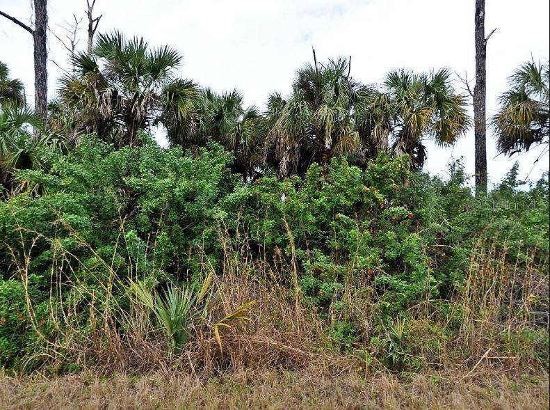 SILVERLEAF RD, NORTH PORT, FL, 34288