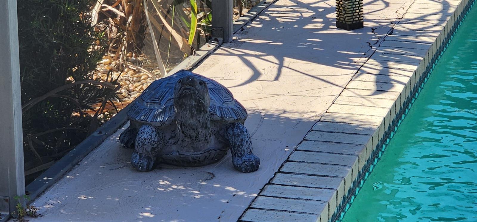 538 GRENADA ST, PORT CHARLOTTE, FL, 33948