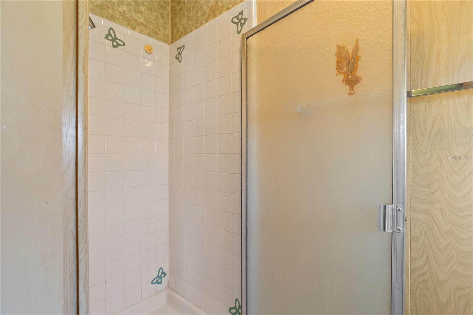 617 COACHWOOD CENTRAL, LEESBURG, FL, 34748