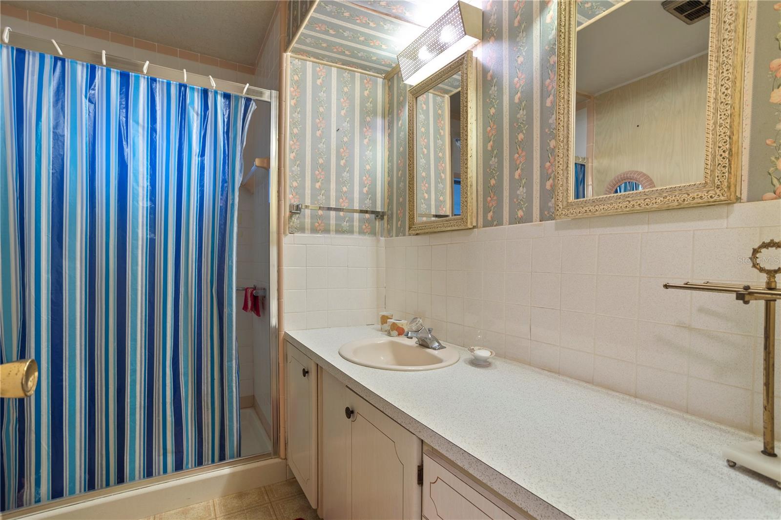 617 COACHWOOD CENTRAL, LEESBURG, FL, 34748