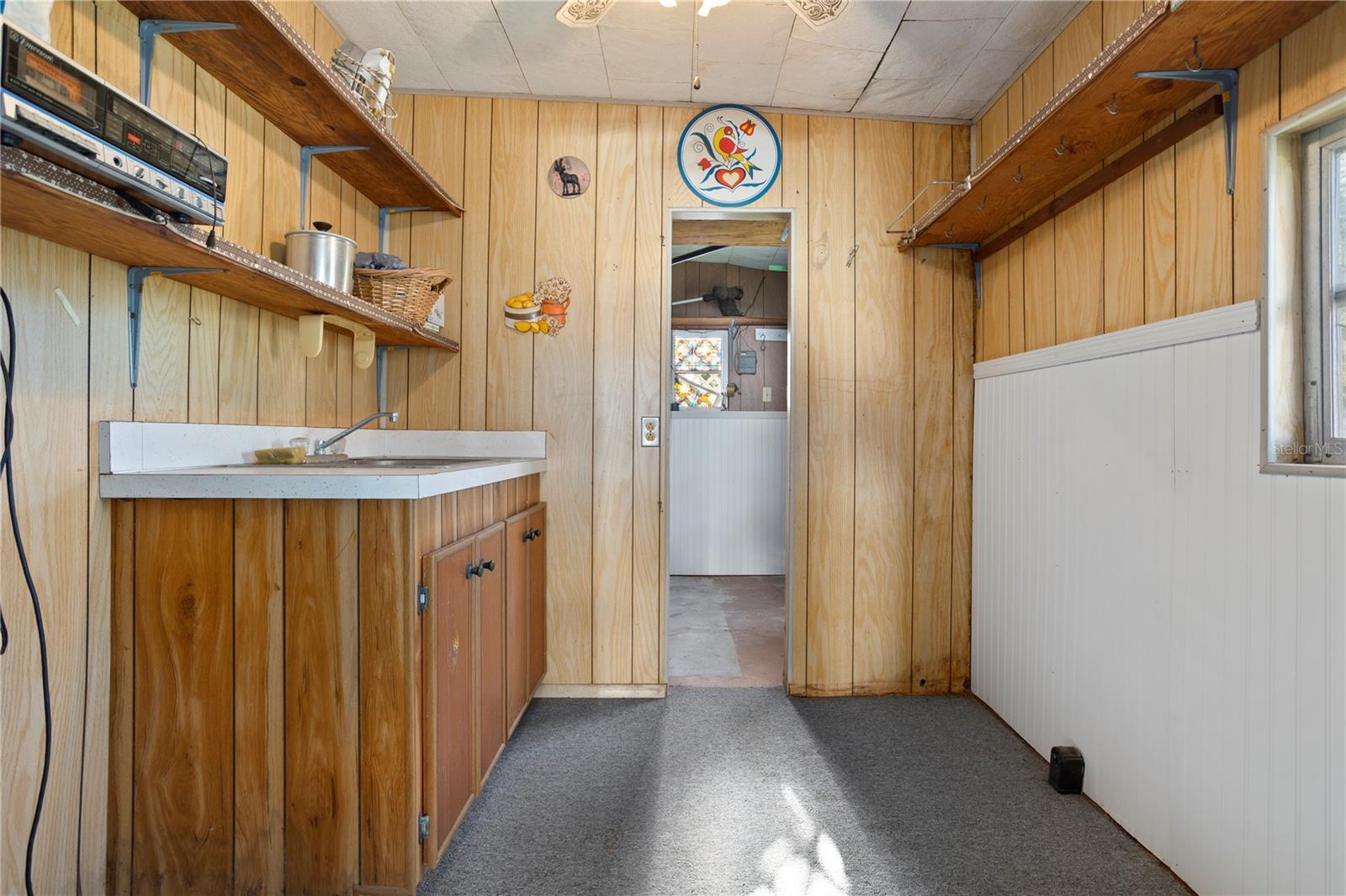 617 COACHWOOD CENTRAL, LEESBURG, FL, 34748