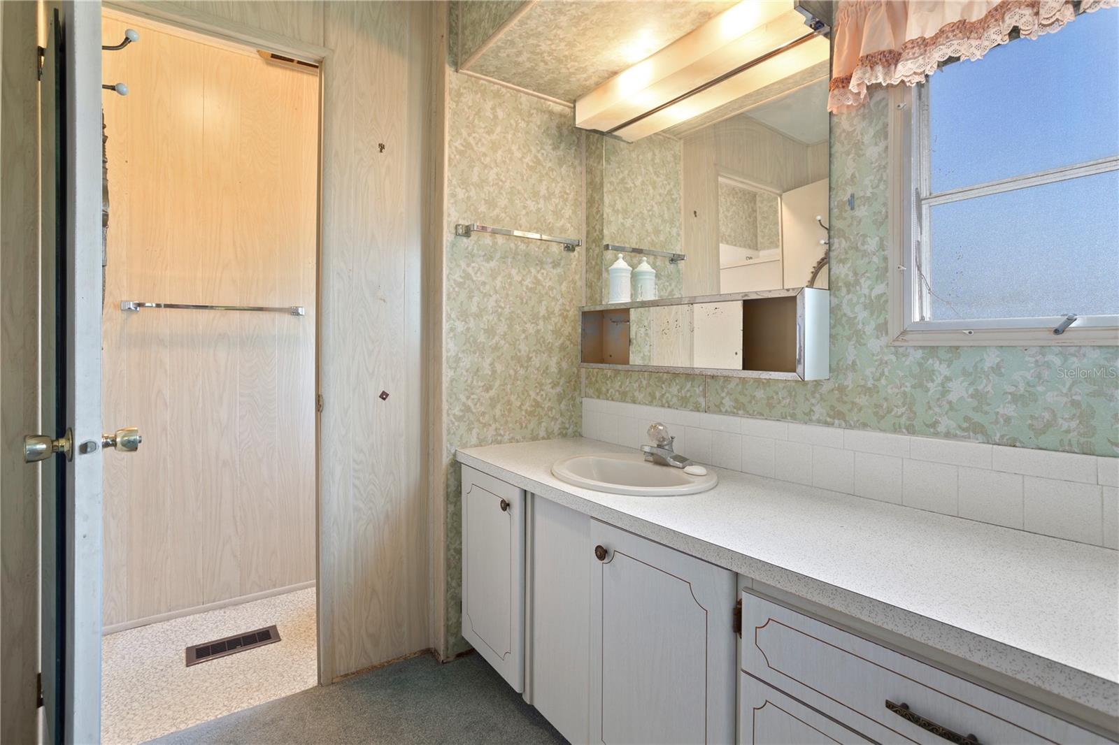617 COACHWOOD CENTRAL, LEESBURG, FL, 34748