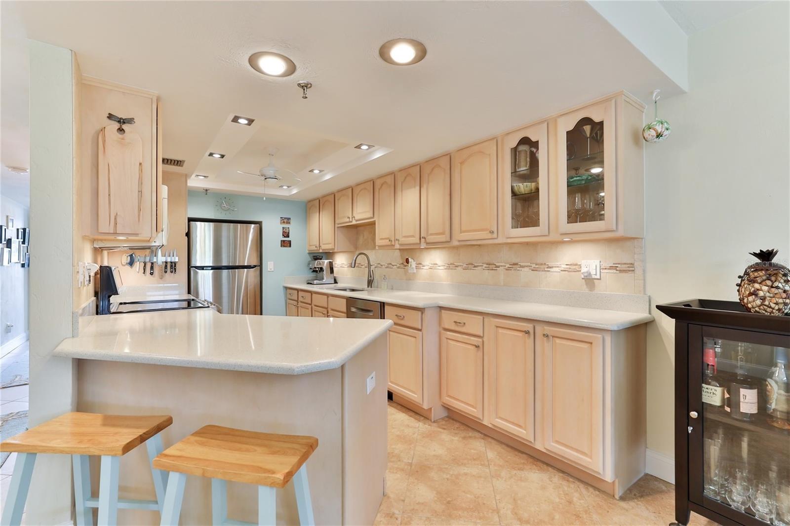 3001 S ATLANTIC AVE #502, NEW SMYRNA BEACH, FL, 32169