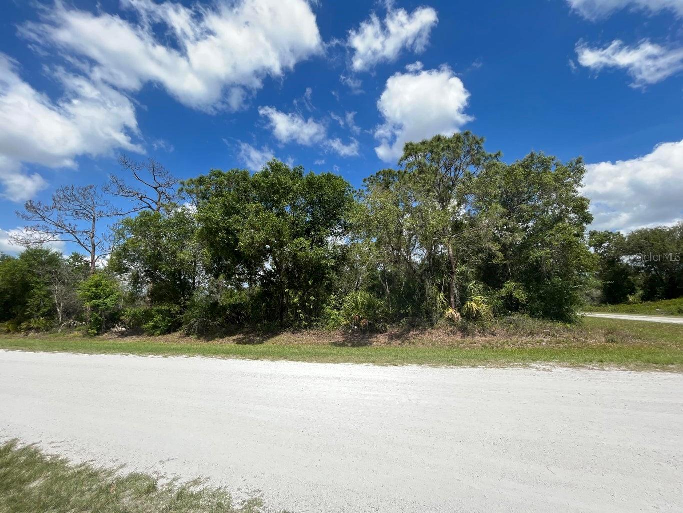 845 APPALOOSA AVE, CLEWISTON, FL, 33440