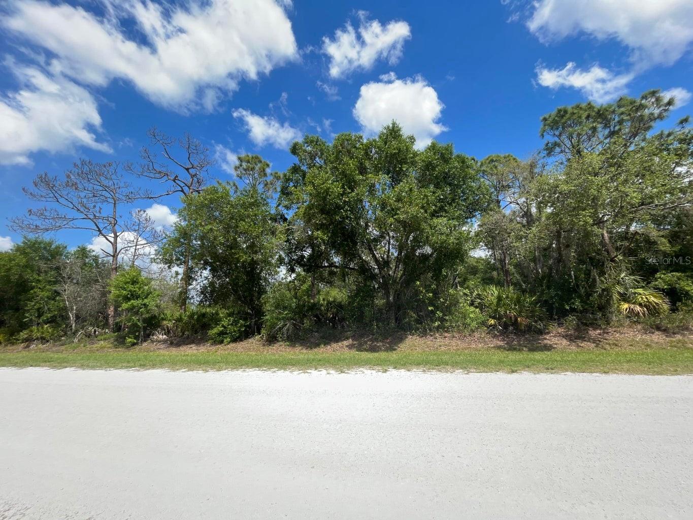 845 APPALOOSA AVE, CLEWISTON, FL, 33440