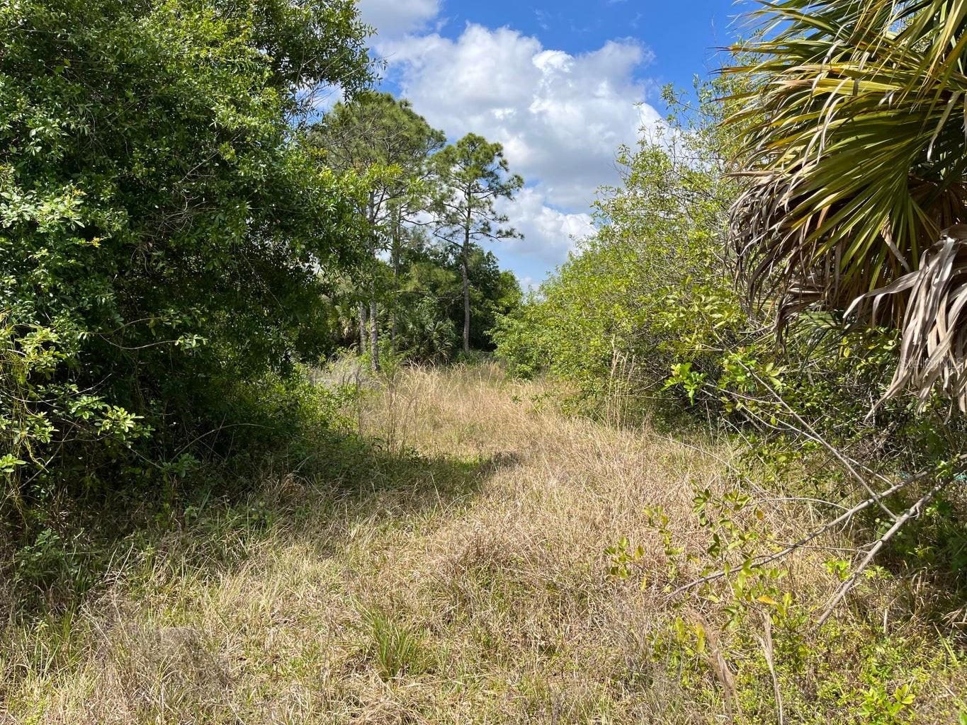 845 APPALOOSA AVE, CLEWISTON, FL, 33440