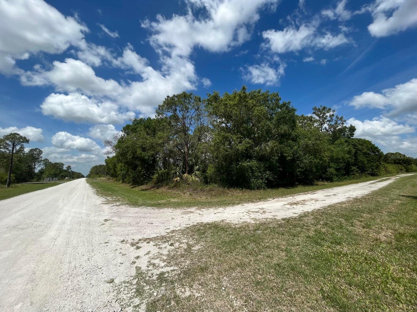 845 APPALOOSA AVE, CLEWISTON, FL, 33440