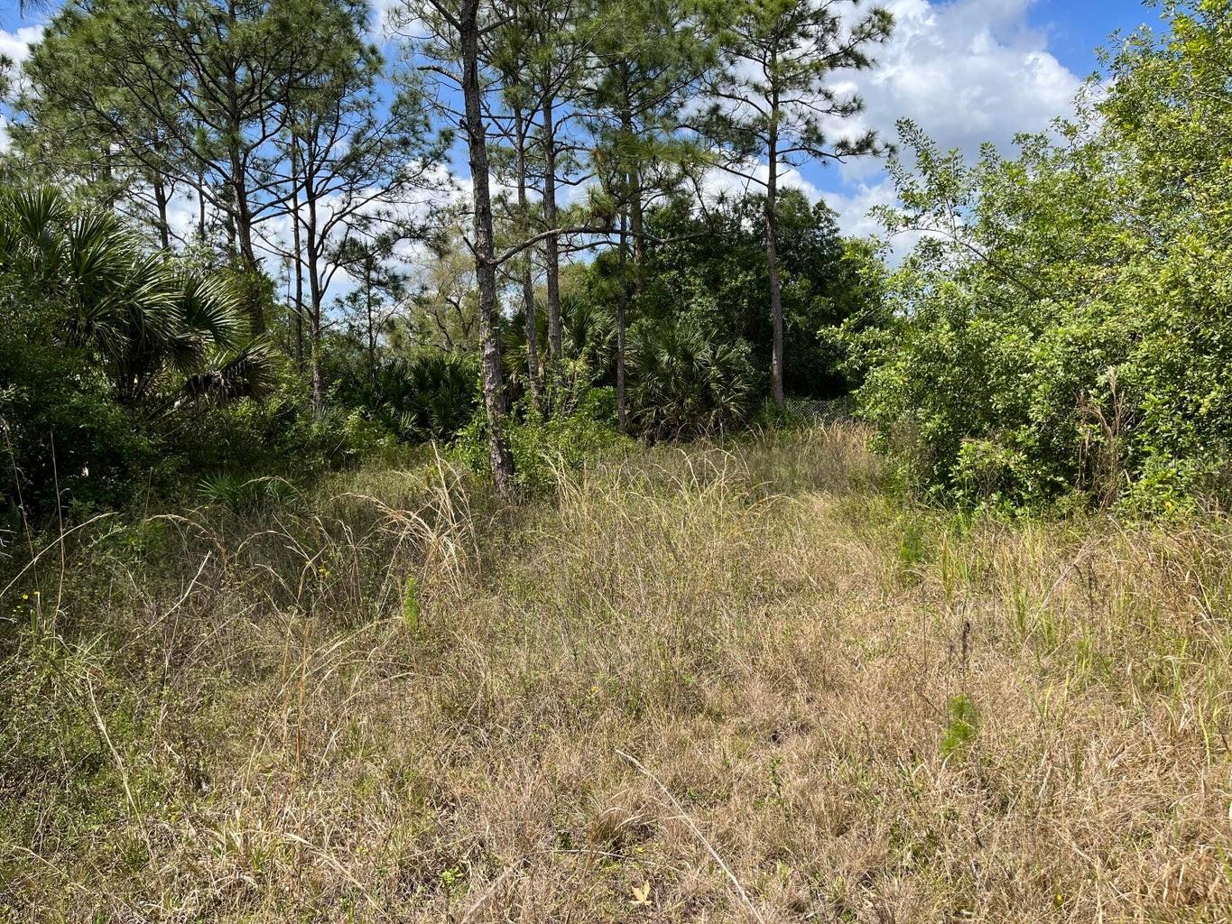 845 APPALOOSA AVE, CLEWISTON, FL, 33440