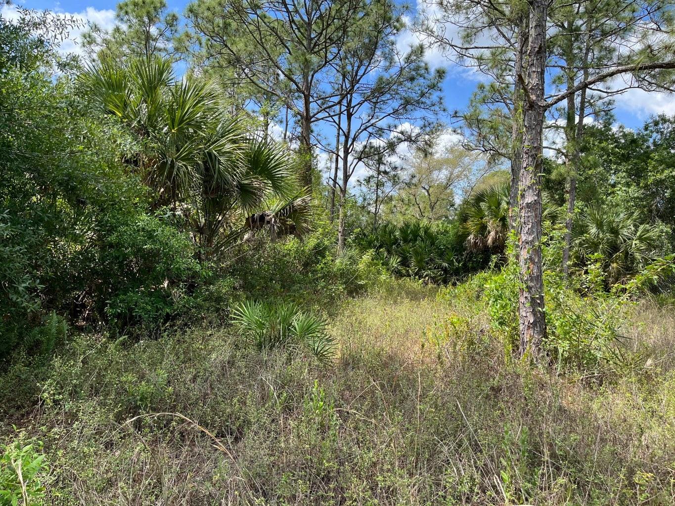 845 APPALOOSA AVE, CLEWISTON, FL, 33440