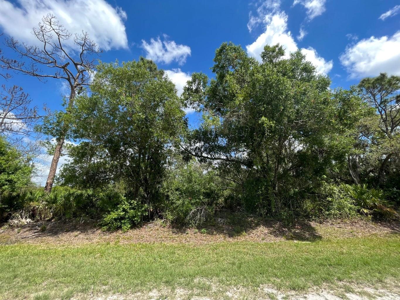 845 APPALOOSA AVE, CLEWISTON, FL, 33440