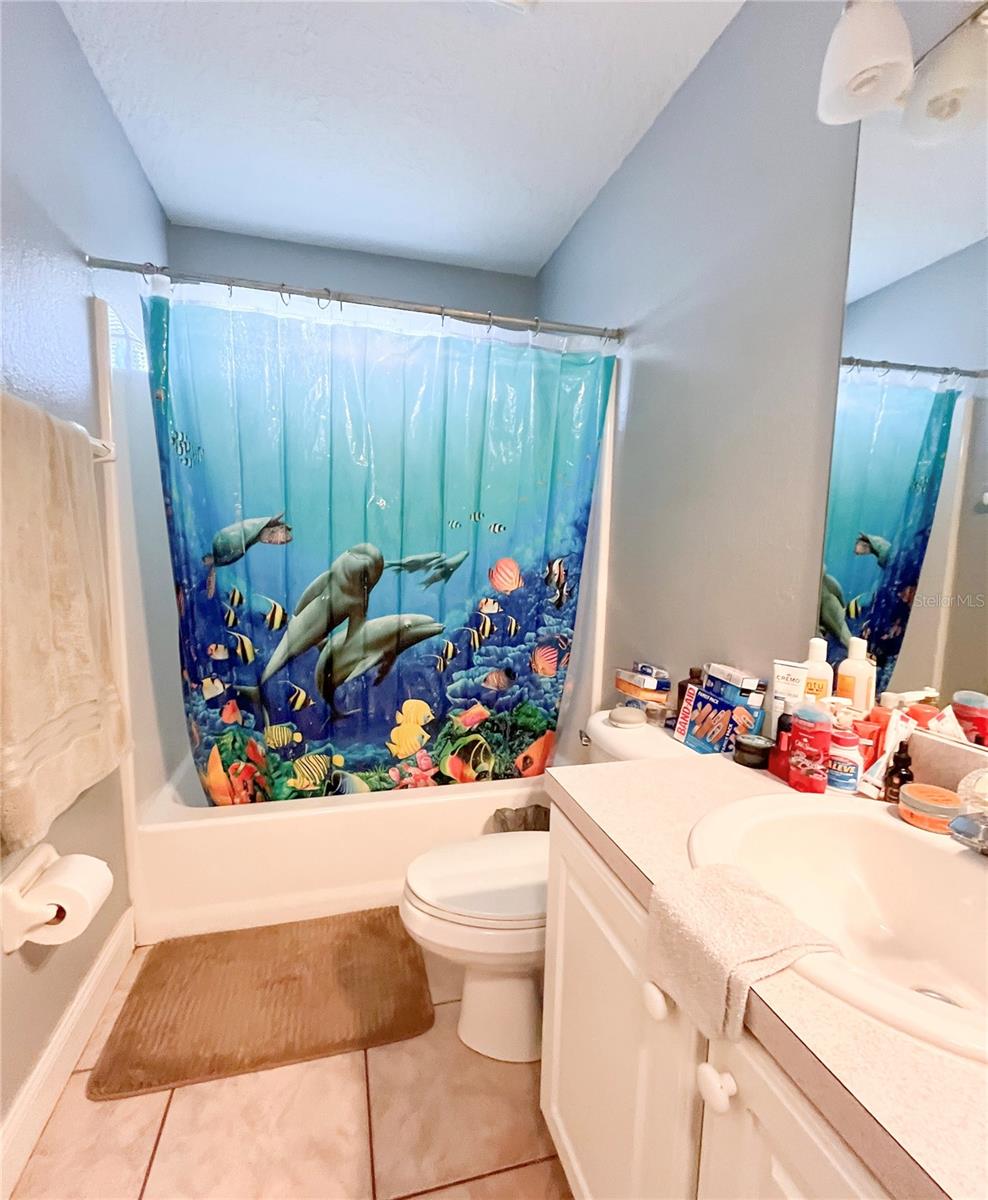 11341 ALAMEDA SANDRA, CLERMONT, FL, 34711