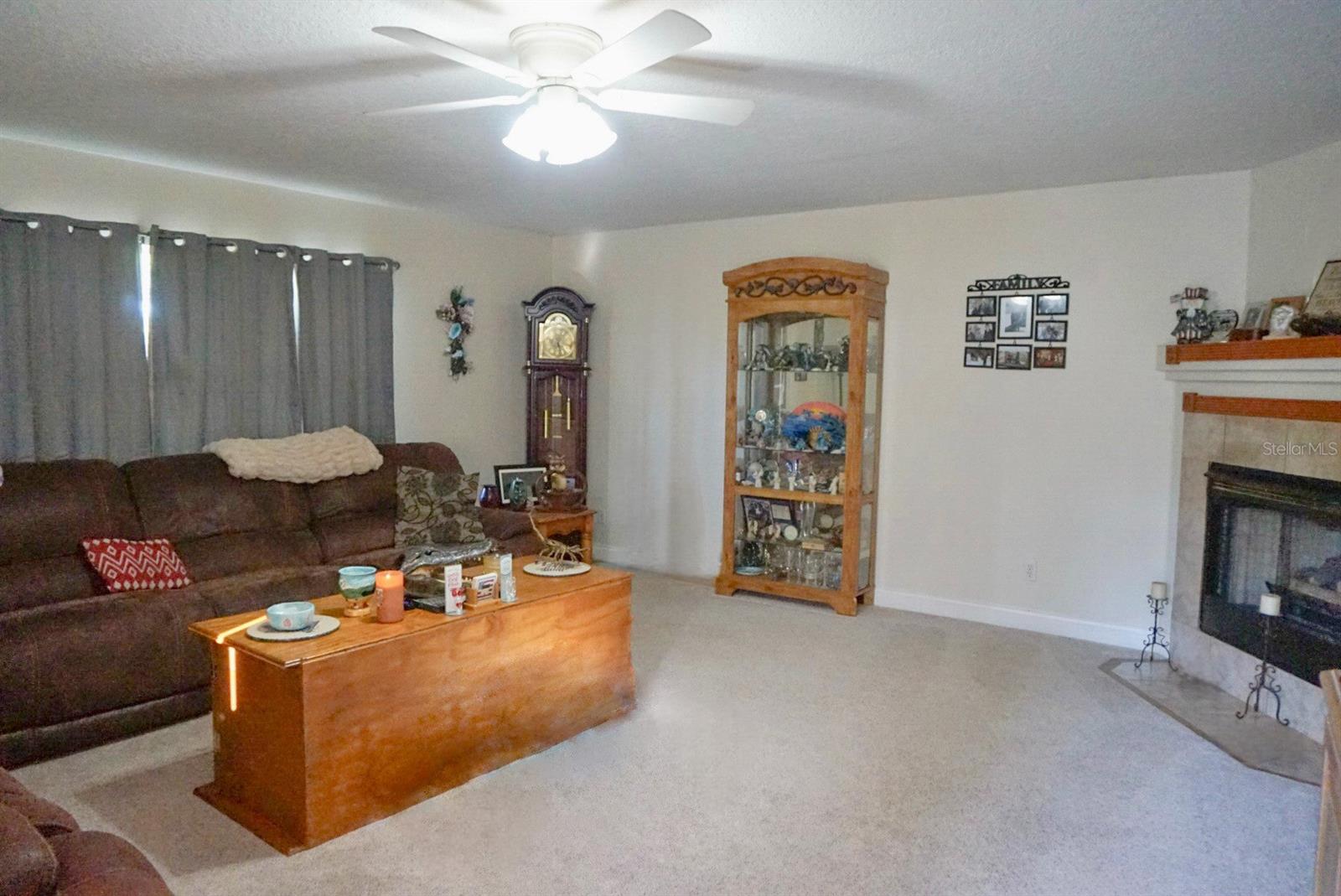11341 ALAMEDA SANDRA, CLERMONT, FL, 34711