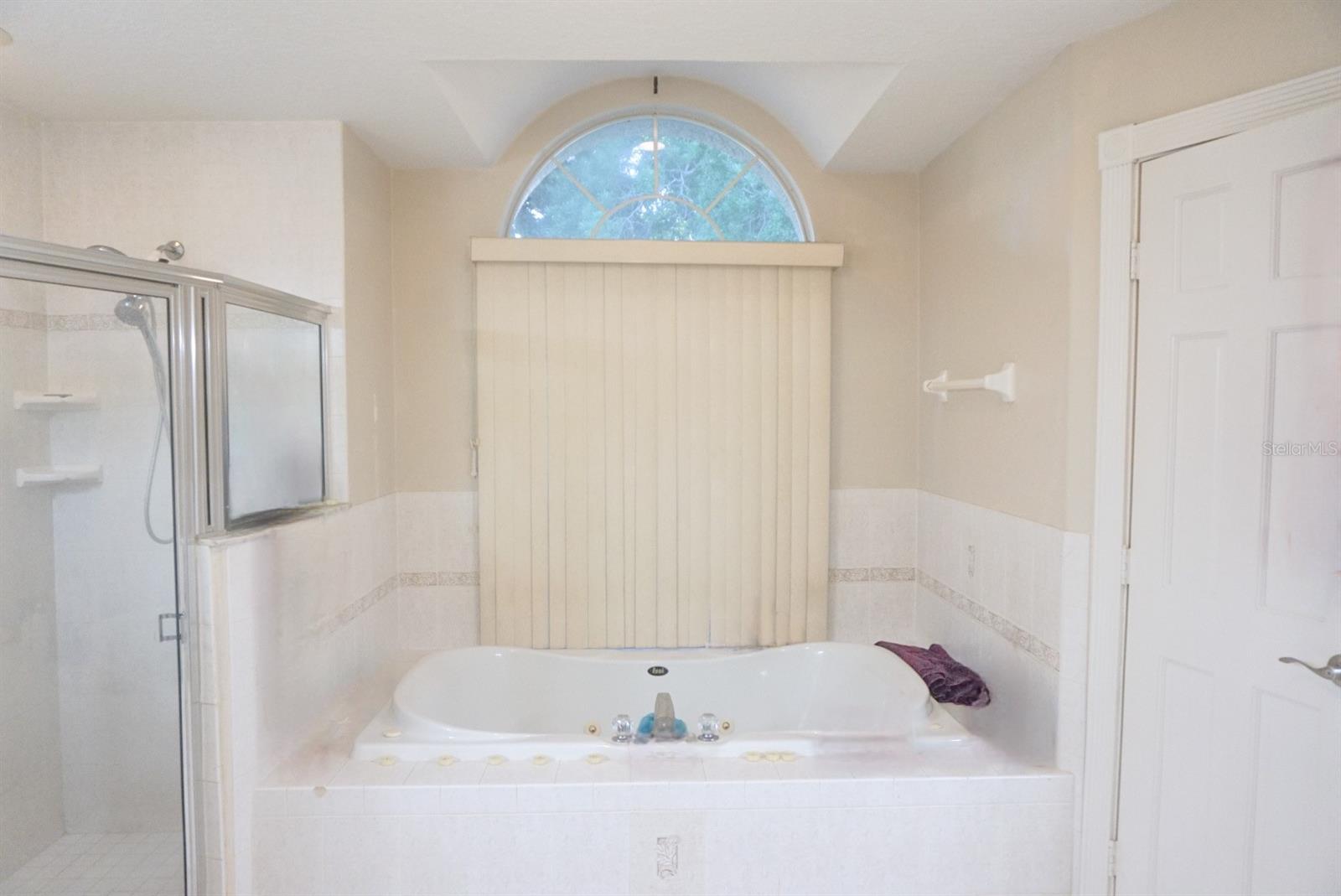 11341 ALAMEDA SANDRA, CLERMONT, FL, 34711
