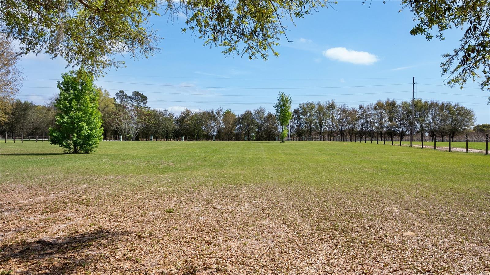 23321 N BUCKHILL RD, HOWEY IN THE HILLS, FL, 34737