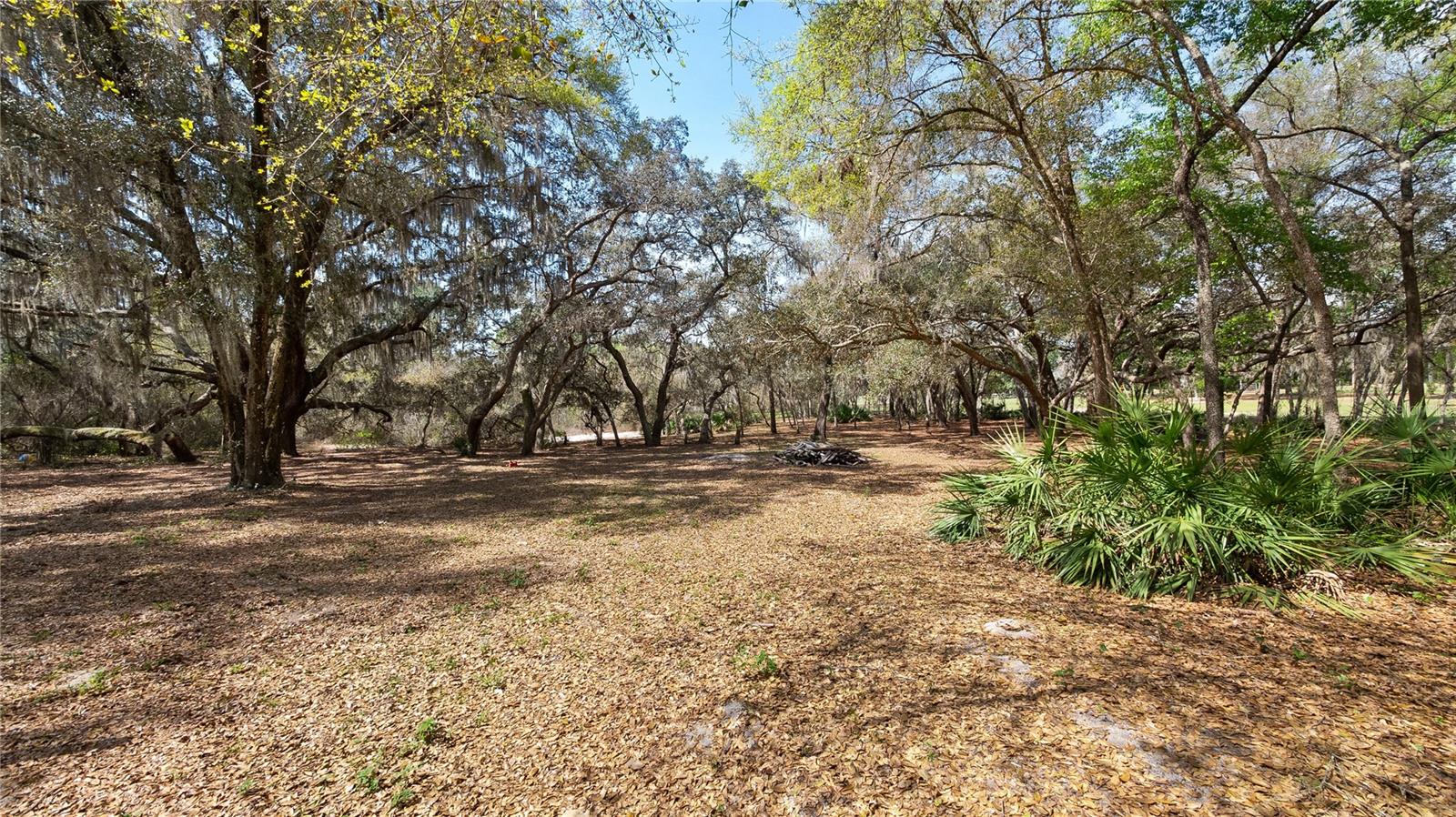 23321 N BUCKHILL RD, HOWEY IN THE HILLS, FL, 34737