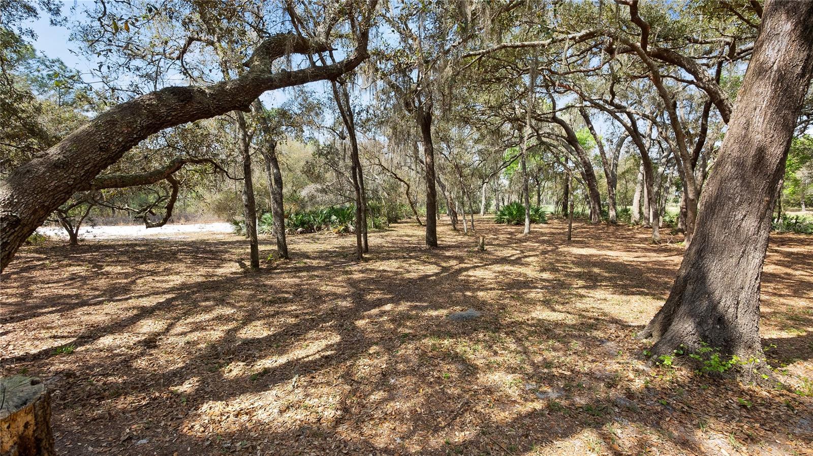 23321 N BUCKHILL RD, HOWEY IN THE HILLS, FL, 34737